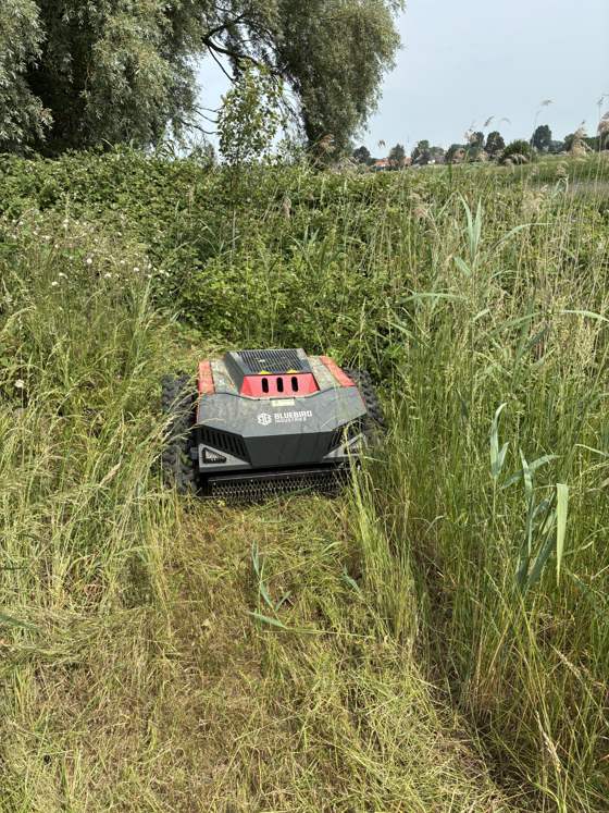 Robotmaaier tussen distels en hoog gras