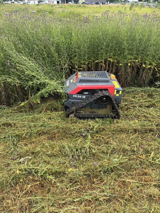Robotmaaier in hoog gras, rechts het gemaaide deel