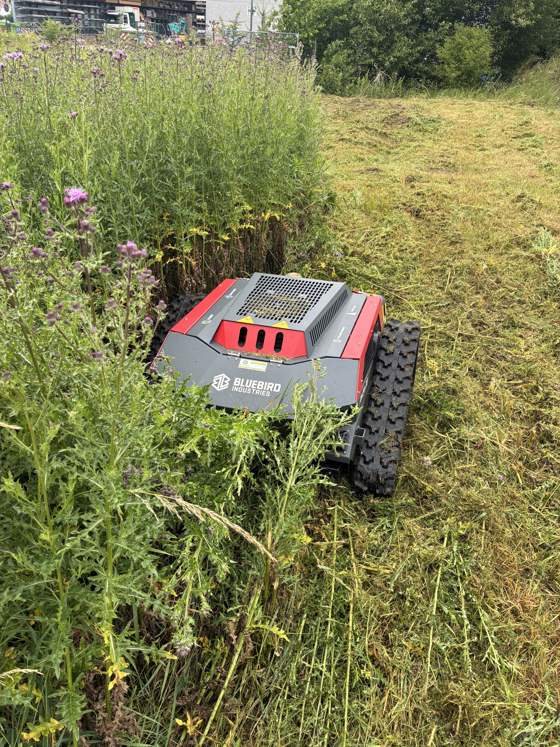 Robotmaaier tussen ruige begroeiing